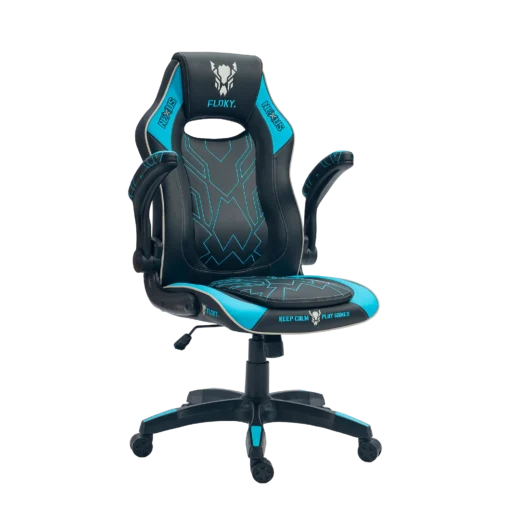 Компьютерное кресло FLOKY NEXUS Aqua-Black