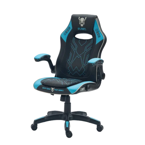 Компьютерное кресло FLOKY NEXUS Aqua-Black